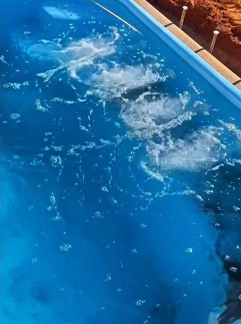 Piscina de Fibra